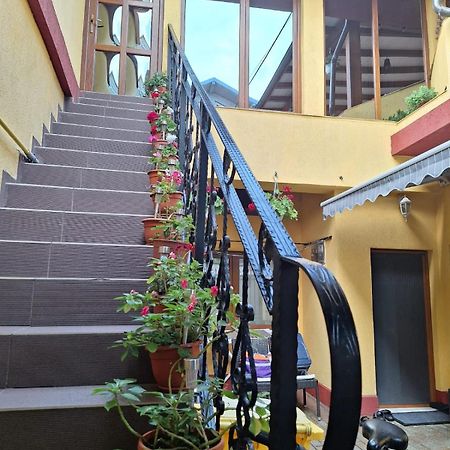 Vila Trandafir Constanţa Extérieur photo
